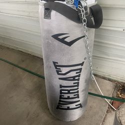 Everlast Punching Bag