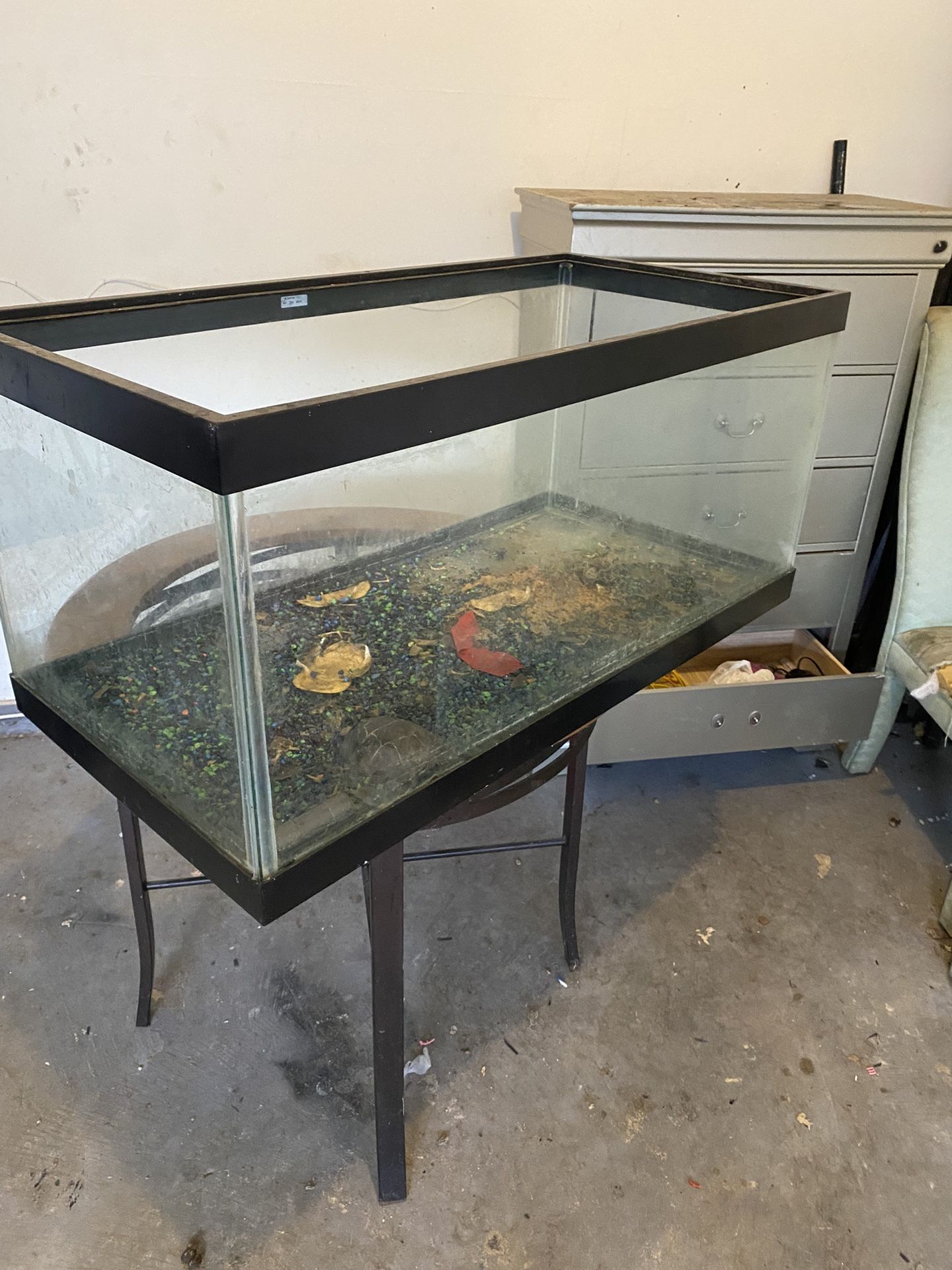 55 Gallon Fish Tank