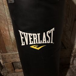 110 Pound Everlast Punching Bag Like New