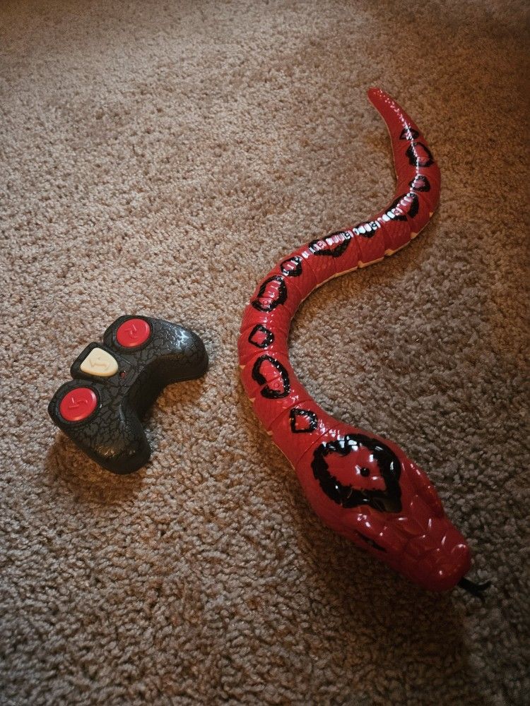 Remote Control Snake