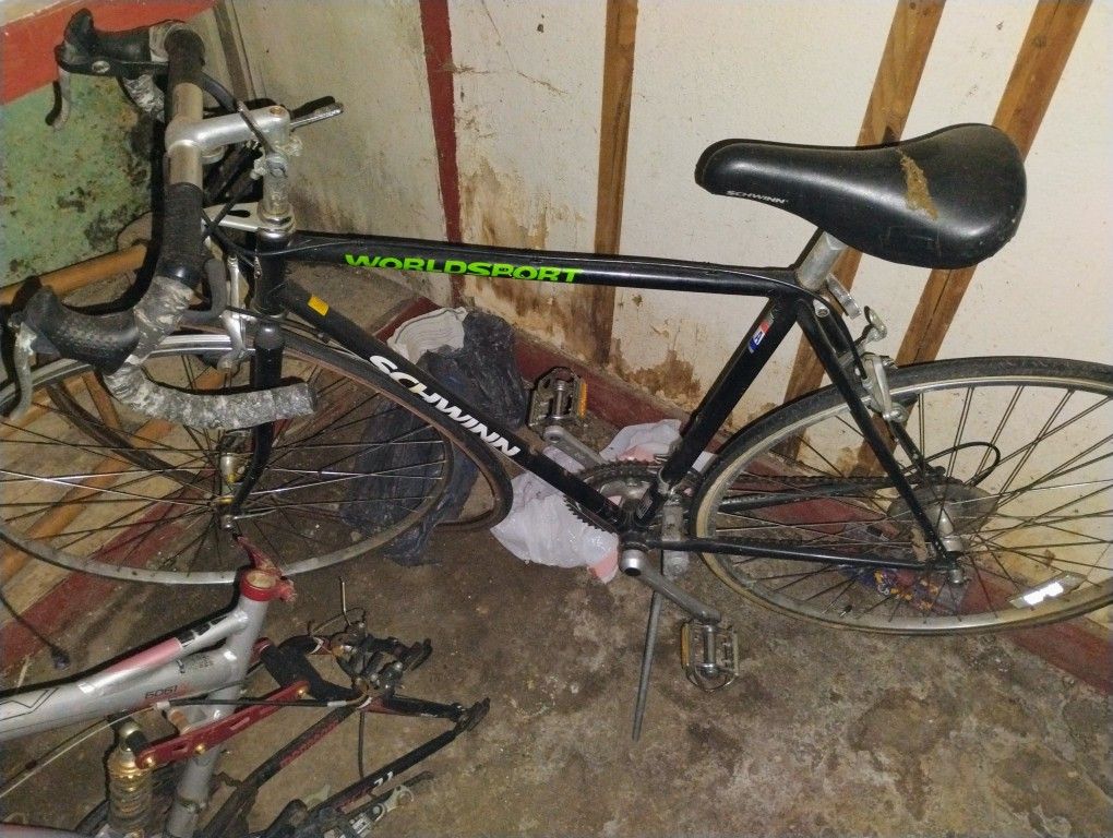 Schwinn Would sport