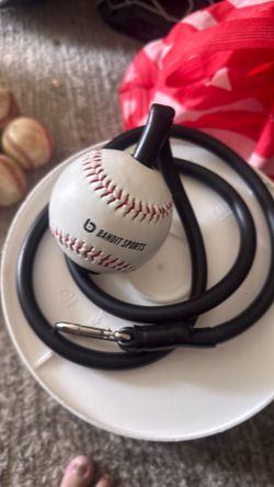 Training ball