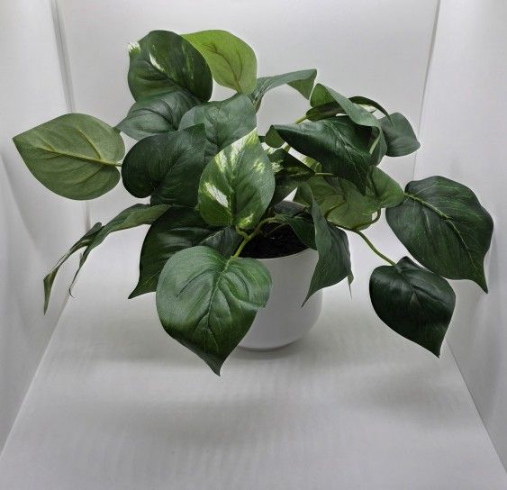 Pothos Artificial Plant in White Pot
