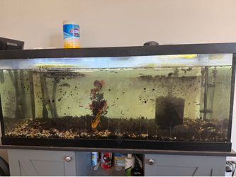 75 Gallon Fish Tank Aquarium with Stand