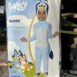 Bluey Halloween Costume 