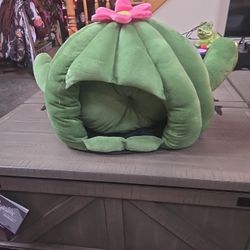 Cat Beds