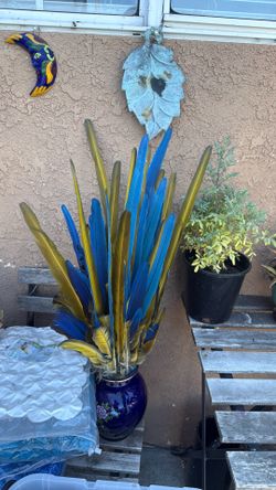 Macaw feathers