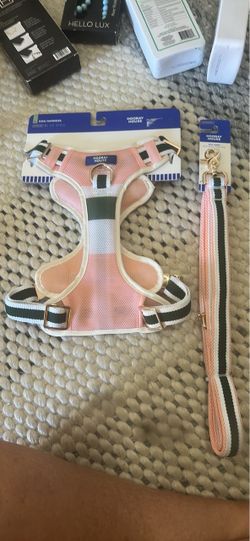 Hooray House Dog Harness and Leash Set