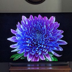 LG C8 OLED TV (65 Inch)