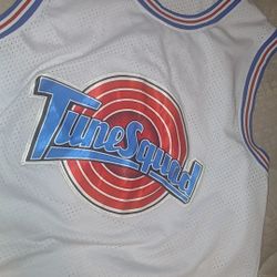 Jordan Jersey Spacejam Toon Squad