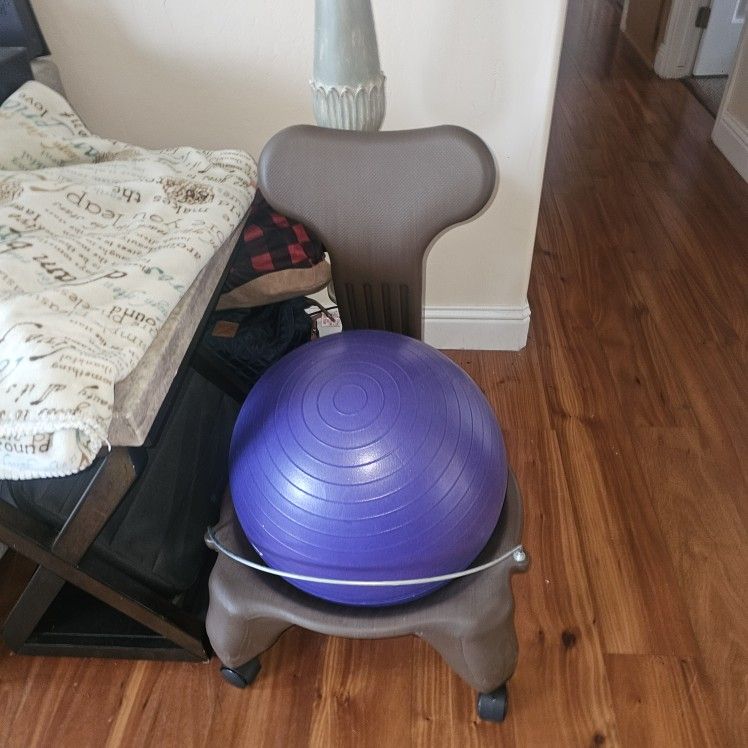 Exercise Ball Chair
