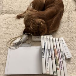 Wii Console Bundle 