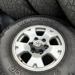 New Mutant Predator Tires