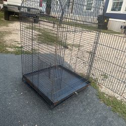 Bird Cage(text For Details