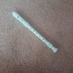 Beautiful Teal Recorder