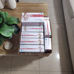 Vinyl Exam Gloves Large  16 Pack 