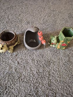 Very Cute plant set