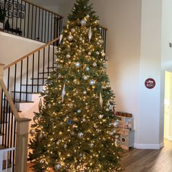 12 Foot National Christmas Tree Company Tree