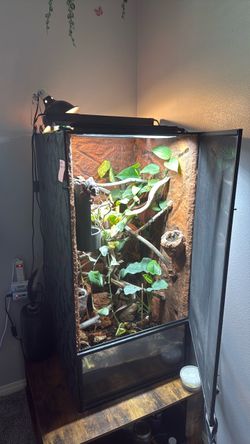 Bioactive terrarium enclosure.