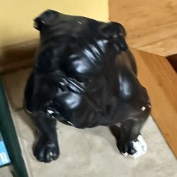 Bull Dog Floor Statue