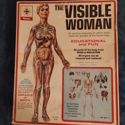 Vintage 1960s Visible Woman & Man  