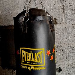 Everlast Punching Bag And Chain Etc