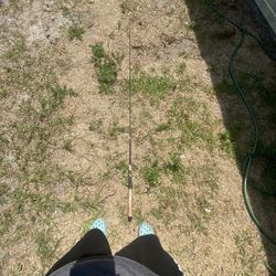 Bait Caster Rod 