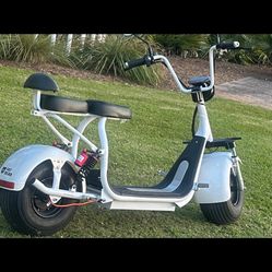 Fat bear scooter