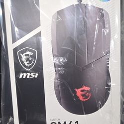 Msi GM41