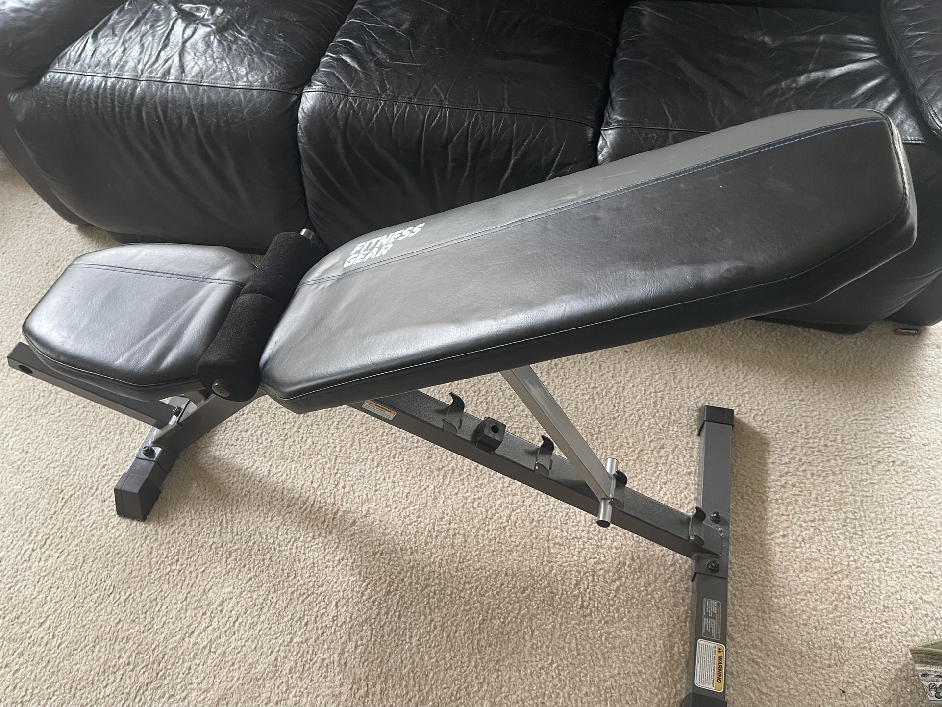 Exercise Bench