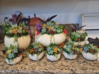 White Pumpkin Succulent Arrangements