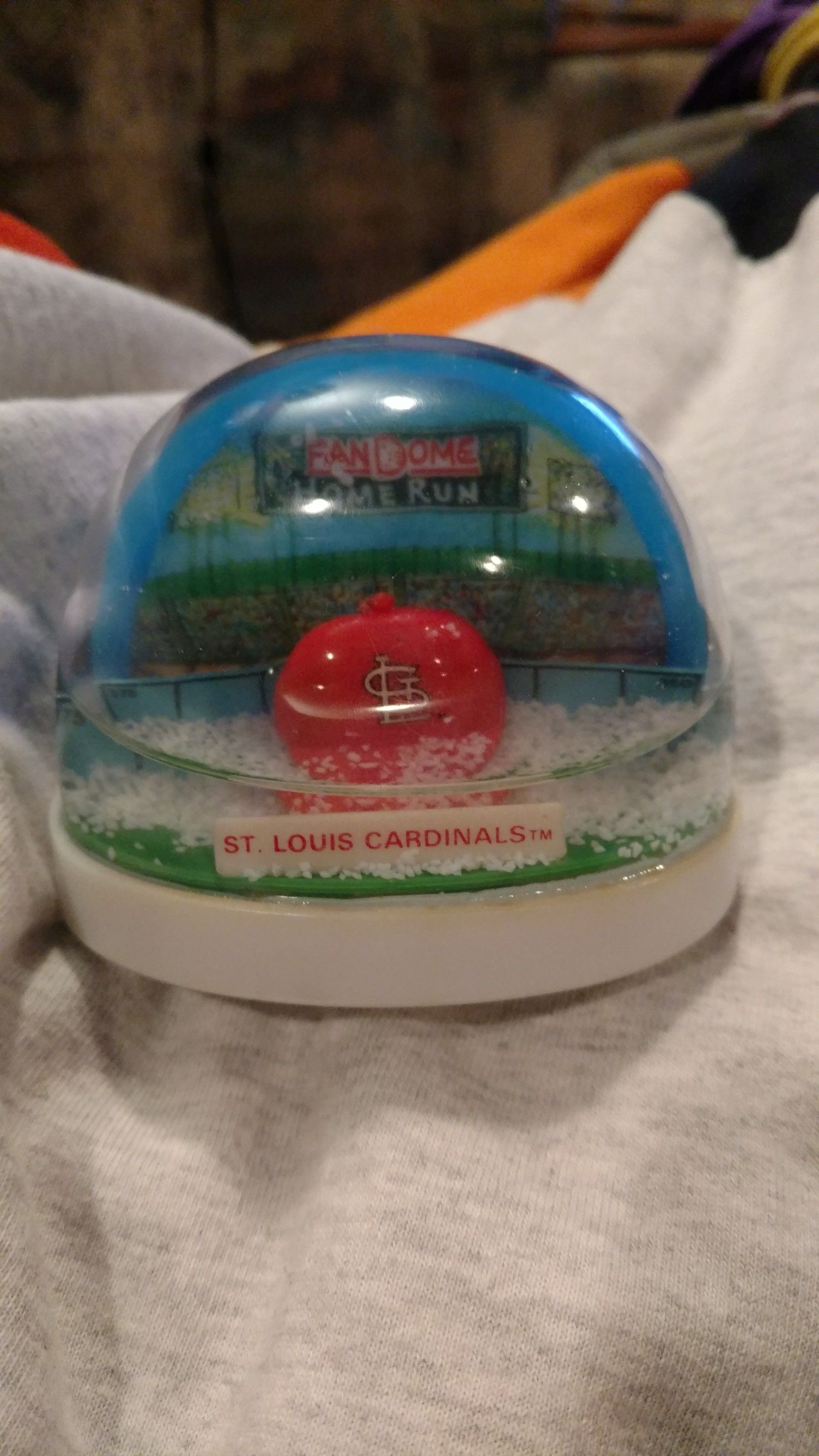 St. Louis Cardinals fan dome