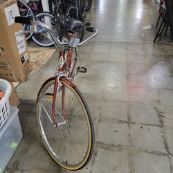 Schwinn Hydro 27 Bike Old School Original