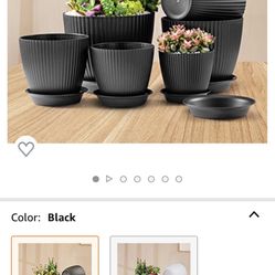 Planters- Set Of 6 Flower Pots