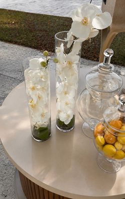 Orchids