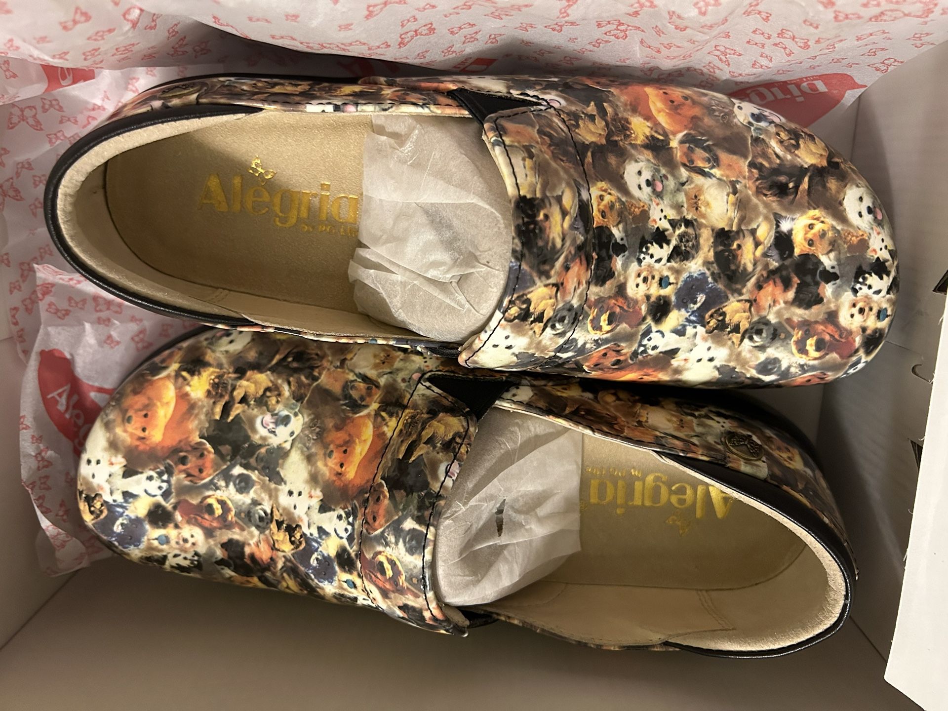 Algeria Paws Up Discontinued Shoes