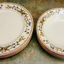 Set of 4 Farberware Dinner Plates 
