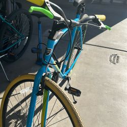 Adult Bike 
