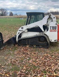 Bobcat