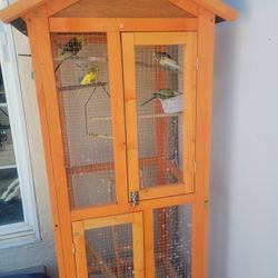 Brand New Bird Cage 🐦 