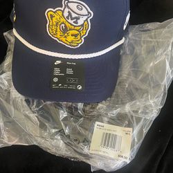 Michigan Nike hat