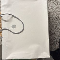 Apple Store Bag