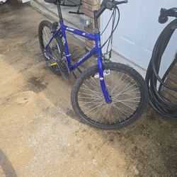 Bicycle