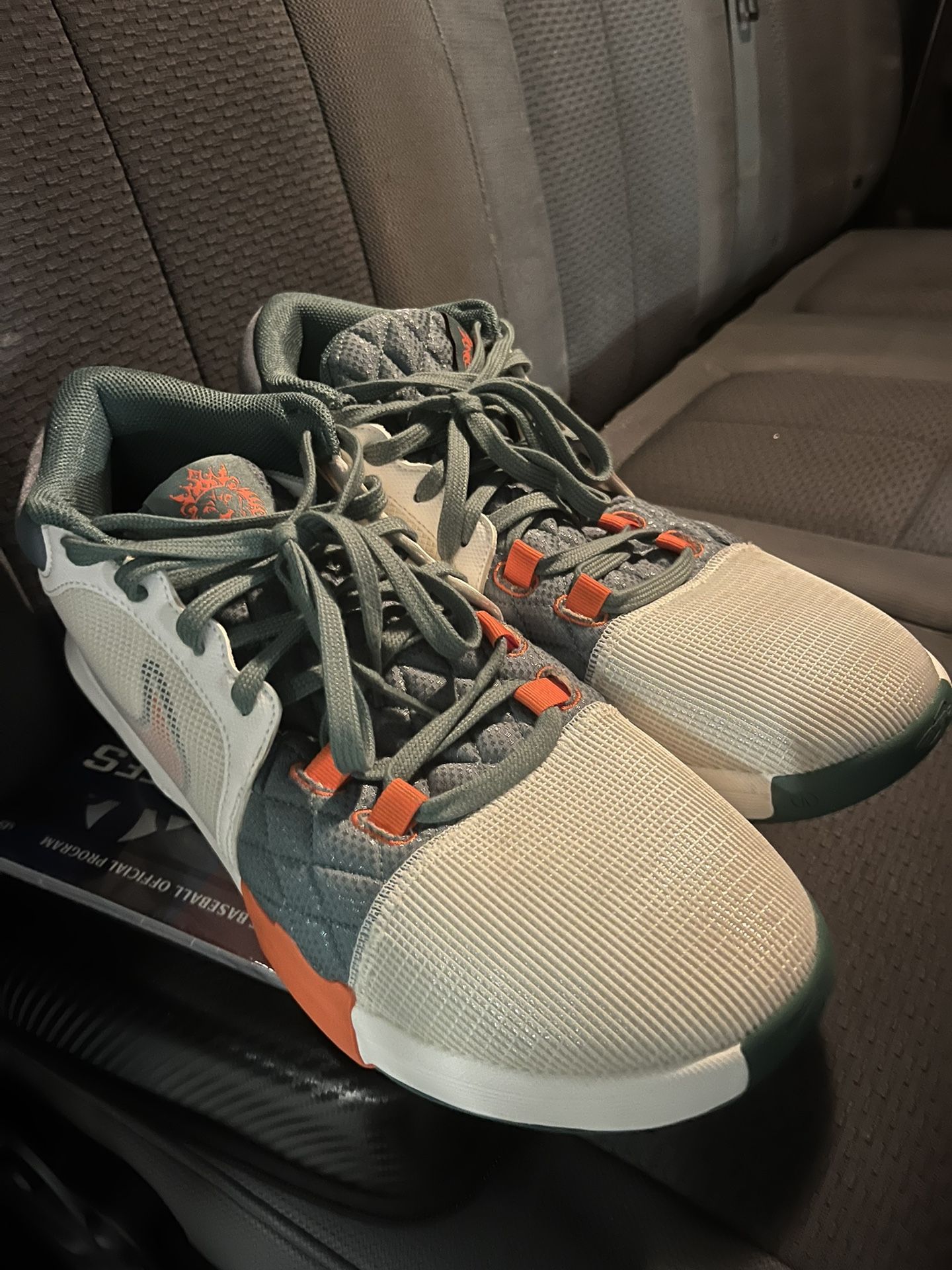 Lebron Basketball Shoes Size 14