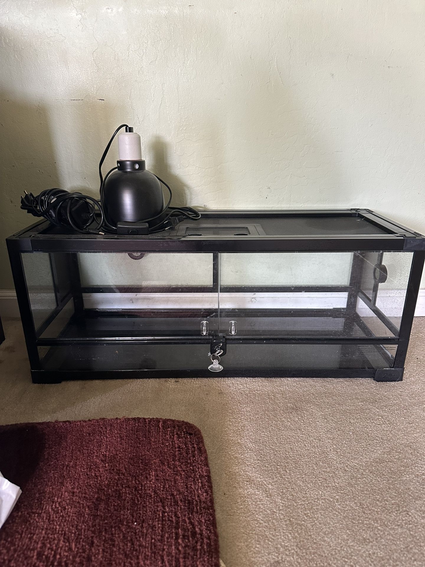 Sturdy & Like New 20 Gallon Tank