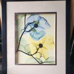 Modern Blue & Yellow Botanical Art 24.5 X 31