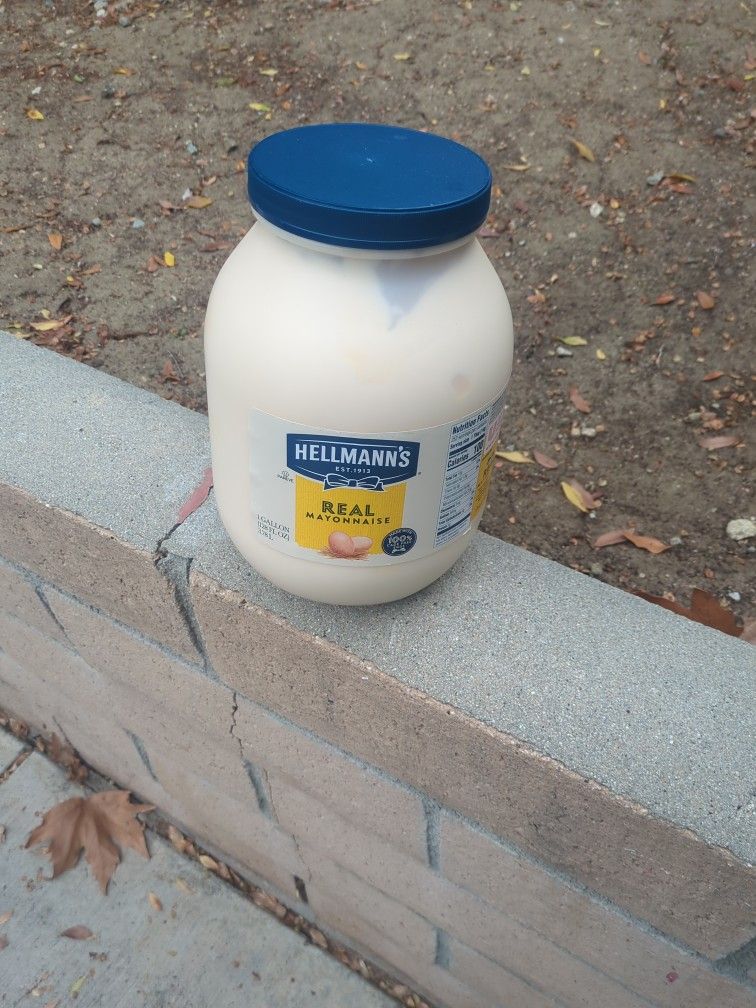 Free Mayo And Plastic Cutlery