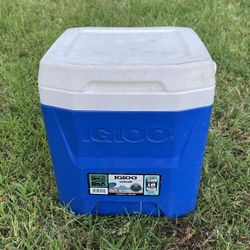 Igloo Cooler 18 Can