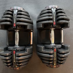 Bowflex SelectTech 1090 x2