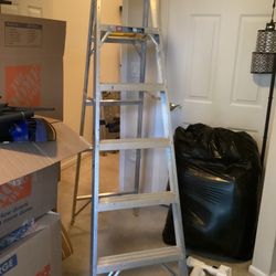Werner Ladder 6 Ft
